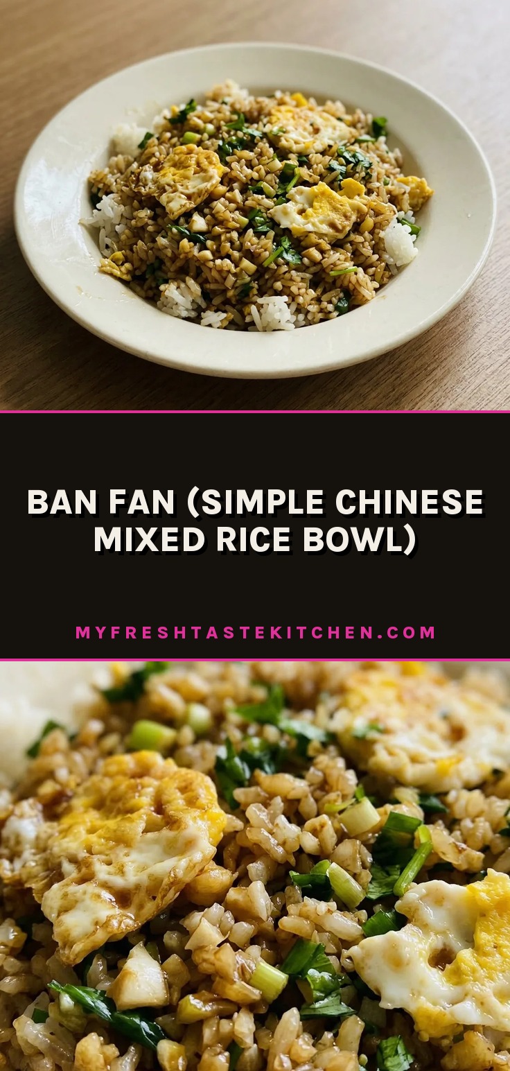 Ban fan simple Chinese mixed rice bowl with a fried egg, oyster sauce drizzle, and chopped scallion and cilantro.