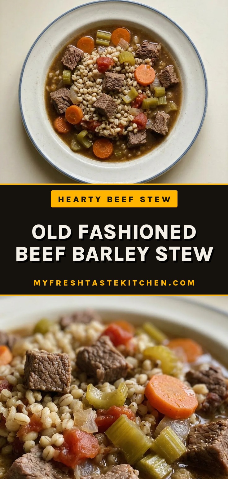 A bowl of beef barley stew with chunks of beef, carrots, celery, and onions in a dark broth.