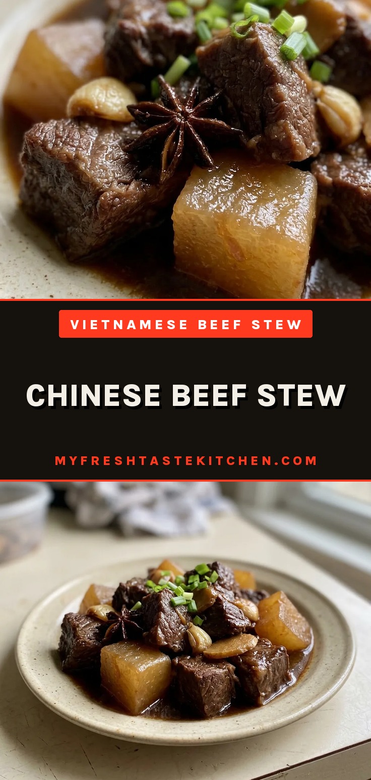 Chinese beef stew in a bowl, showing cubes of beef chuck and daikon radish in a dark brown broth with star anise.