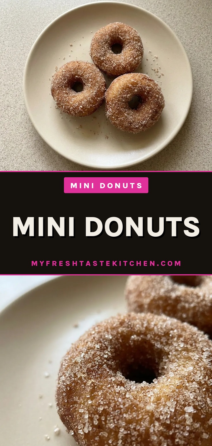 A pile of cinnamon mini donuts coated in cinnamon sugar, showing their golden brown rings and textured sugar coating.