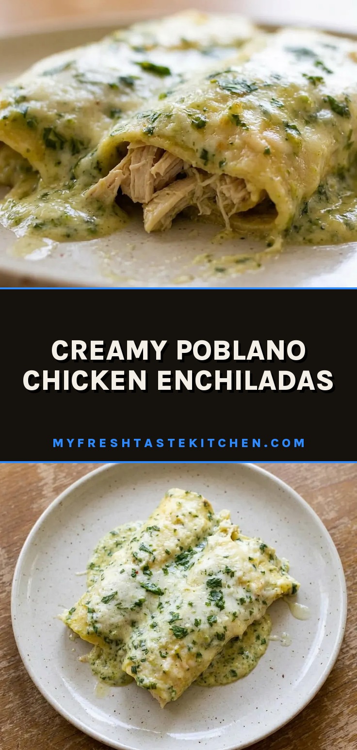Looking down at three rolled corn tortillas topped with creamy green sauce, shredded chicken, melted pepper jack cheese, and fresh cilantro.