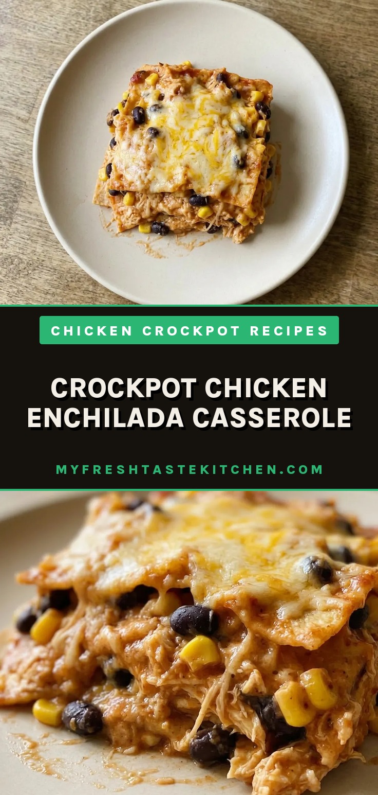 Looking down at a casserole with shredded chicken, black beans, corn, and green chiles in red sauce, topped with melted cheese.