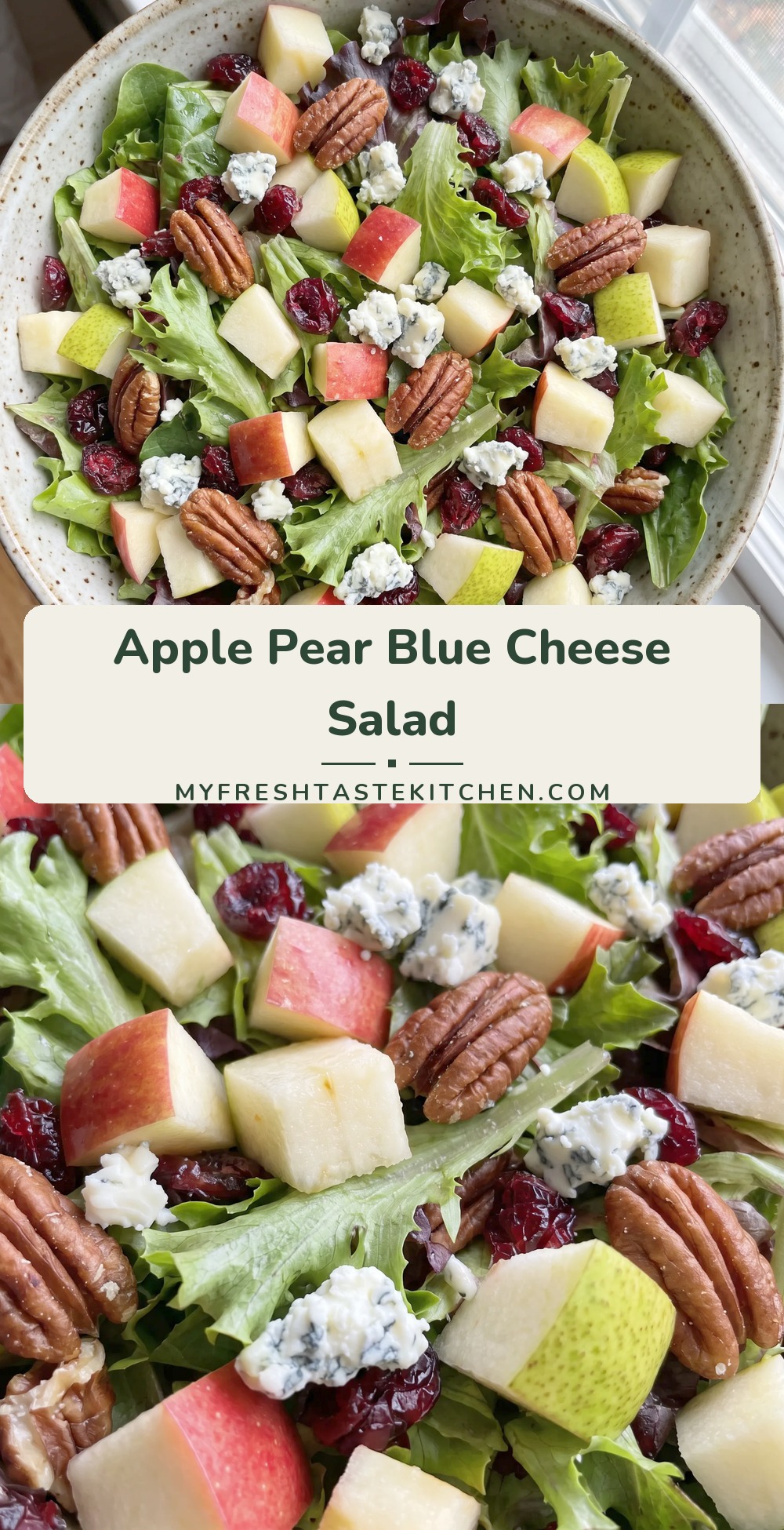 Mixed greens tossed with cubes of apple and pear, dried cranberries, crumbled blue cheese, and salted pecans.