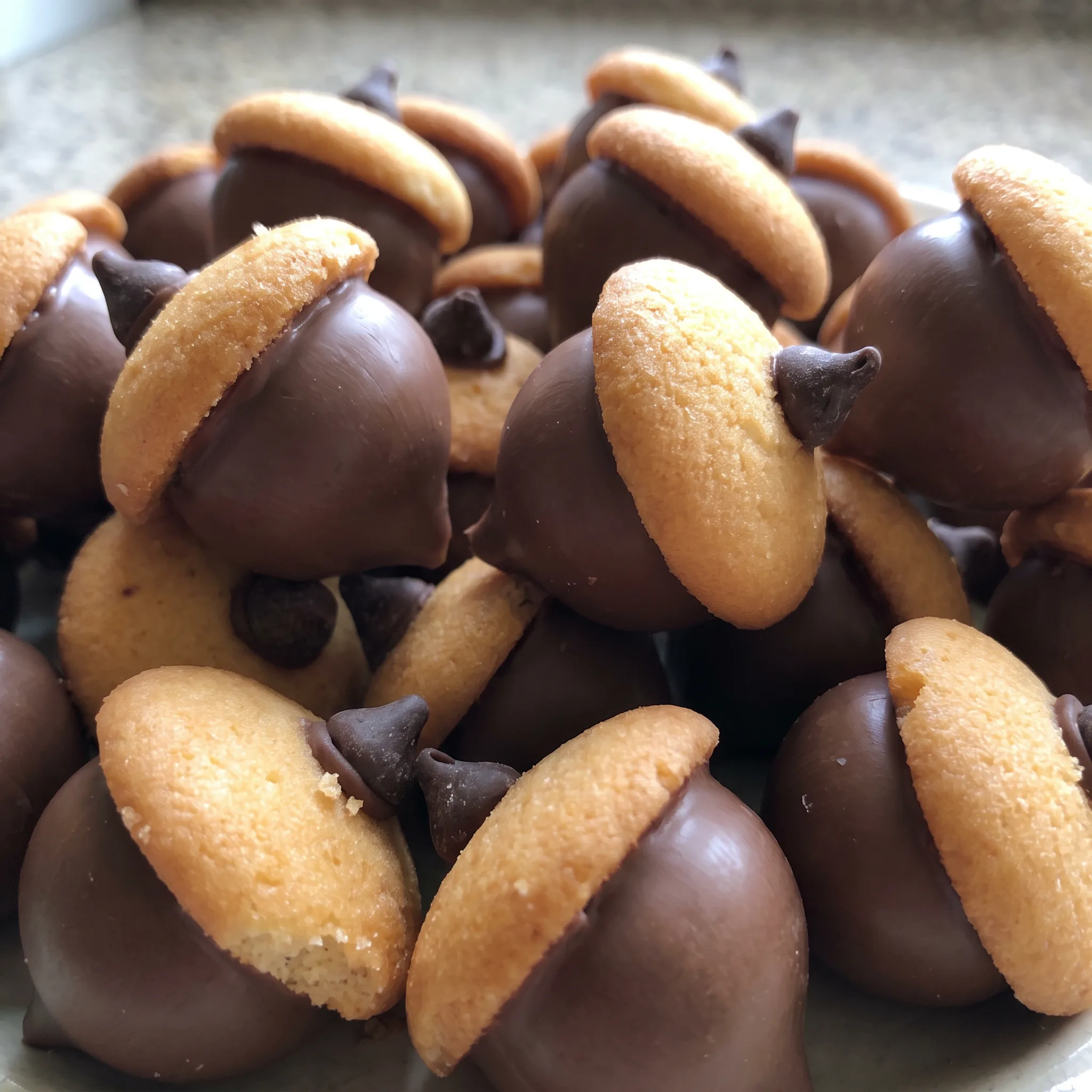 A chocolate acorn with a shiny Hershey's Kiss base, a crisp Nilla wafer cap, and a chocolate chip stem.