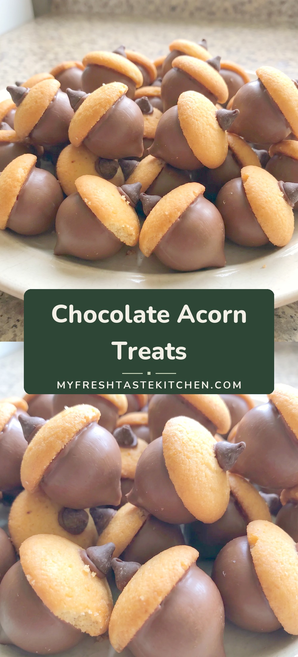 Chocolate acorns made of chocolate Kisses, Nilla wafer cookies, and chocolate chips, coated with melted chocolate.
