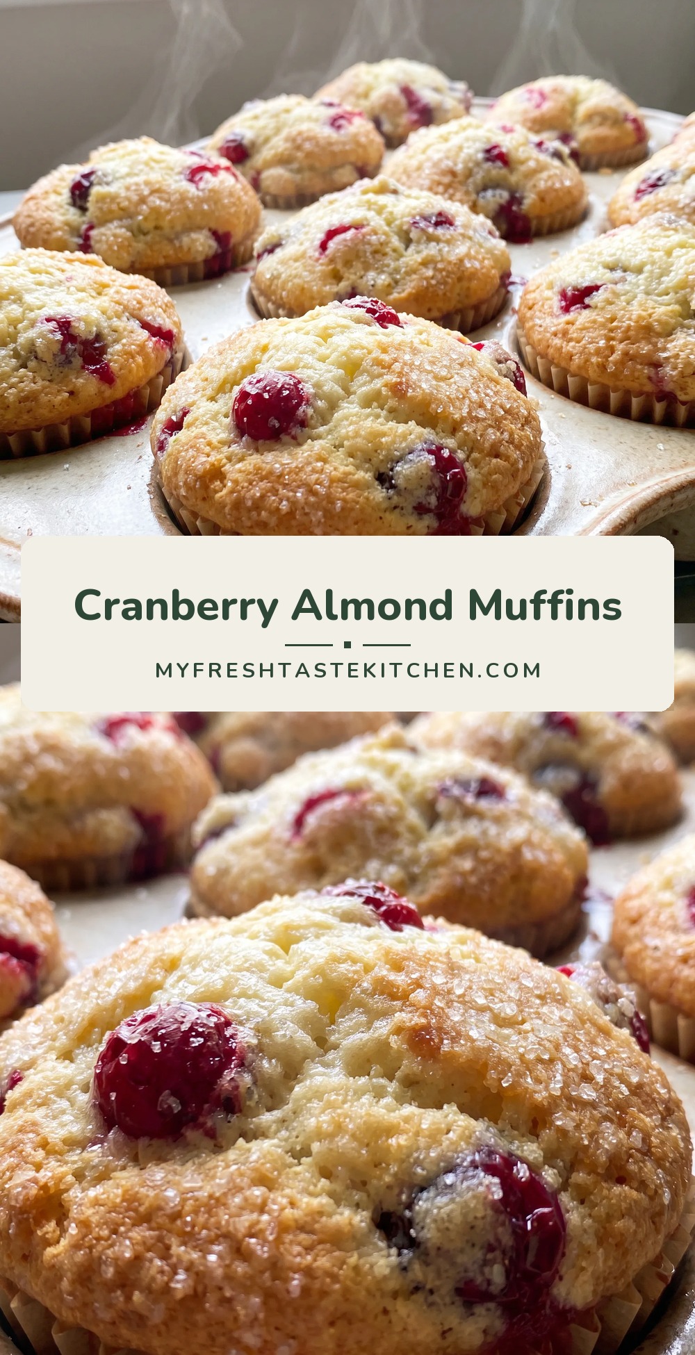 Fresh cranberry muffins with a golden brown top, dotted with bright red cranberries.