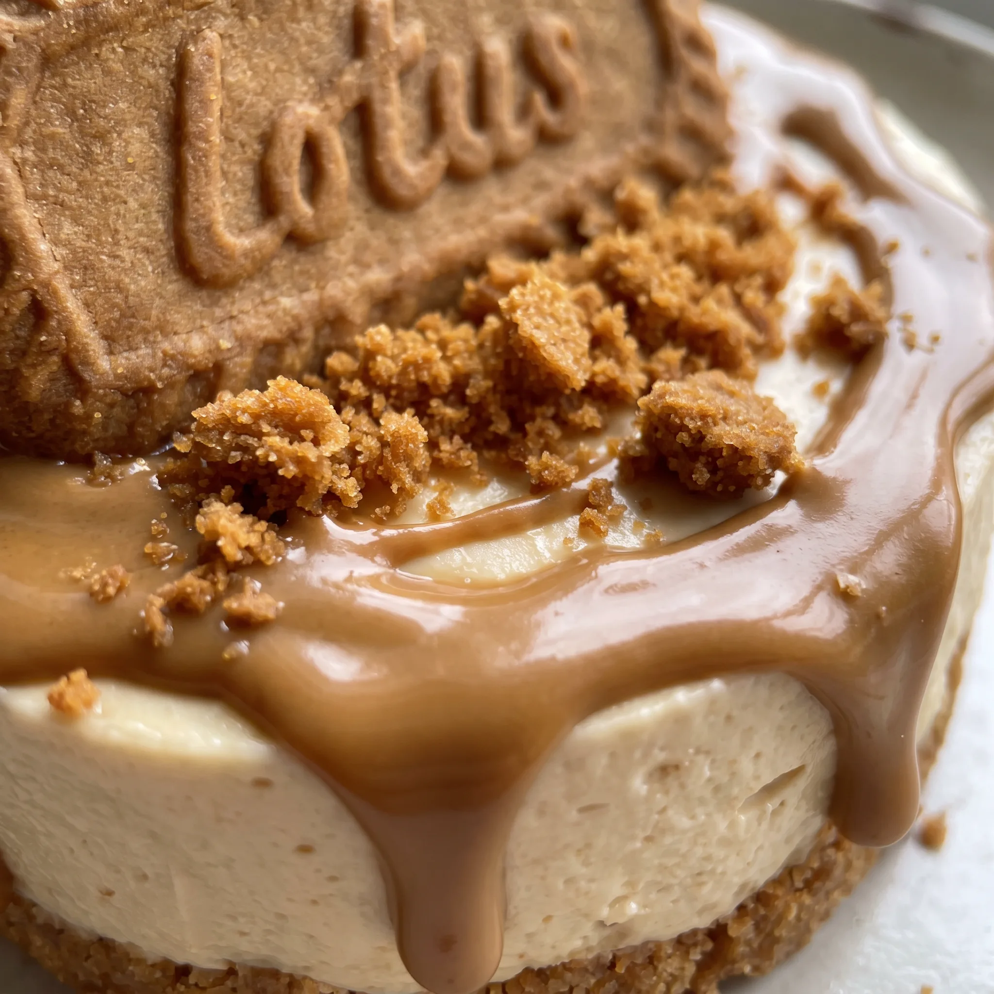 Creamy cheesecake with a smooth top, drizzled with glossy cookie butter, on a crunchy Biscoff cookie.