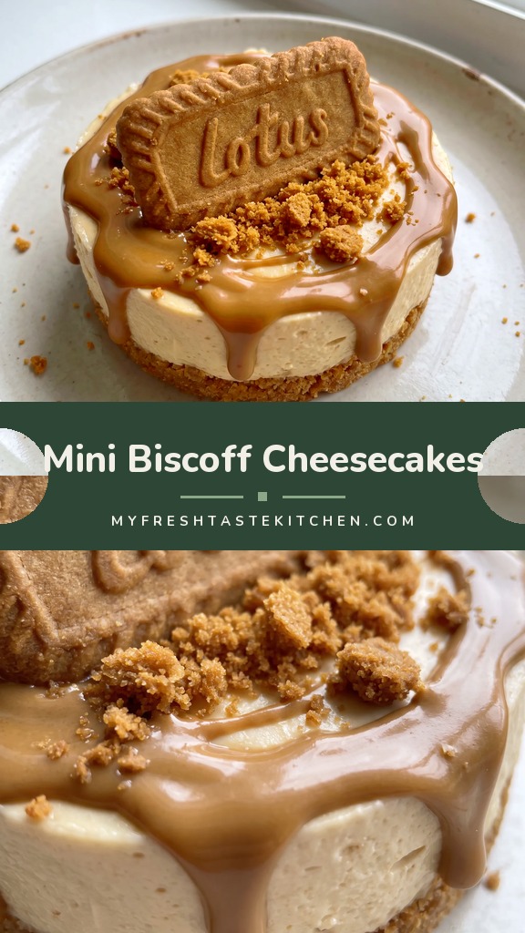 Mini cheesecakes with Biscoff cookie crusts, creamy filling, and drizzled cookie butter, each topped with a whole cookie and crumb dusting.