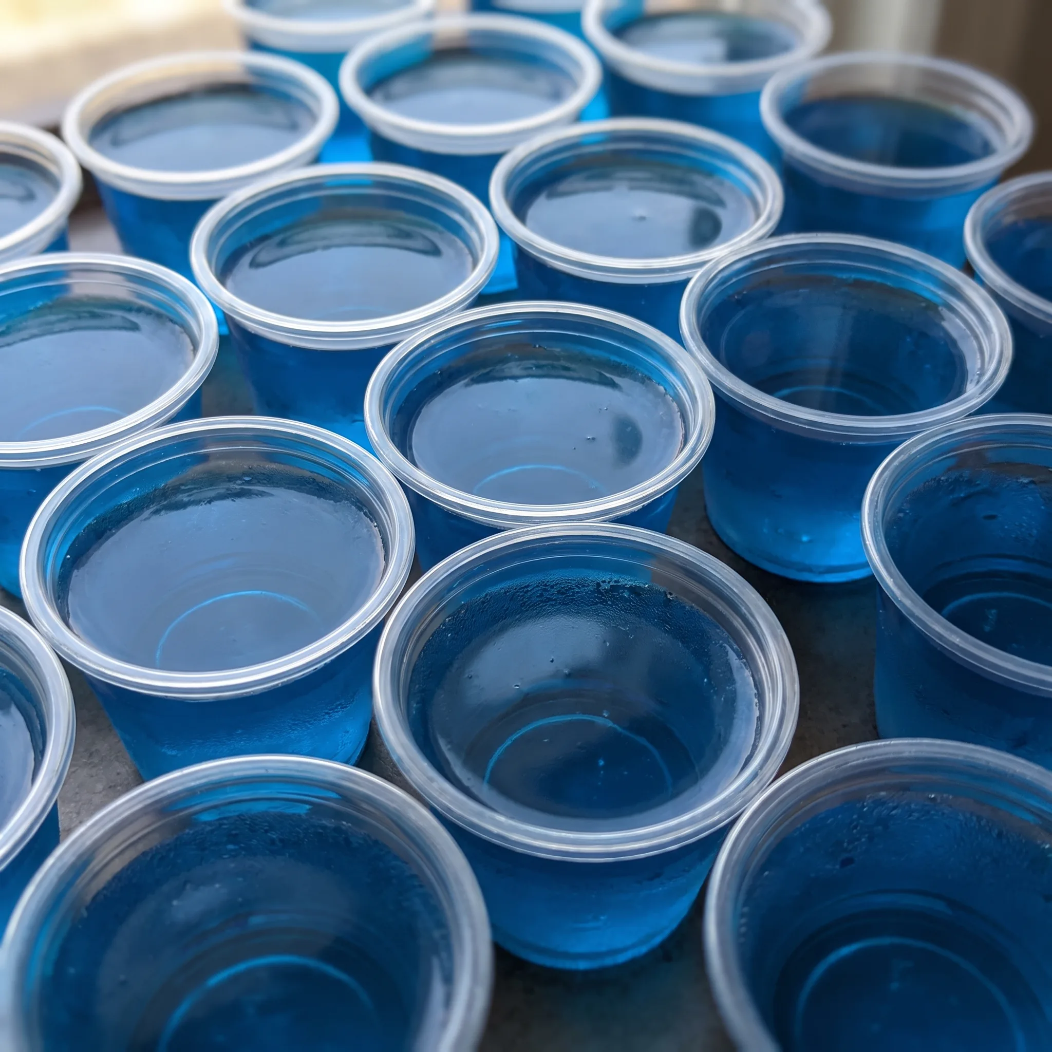 Berry blue Jell-O shots in small cups, bright blue gelatin with a smooth glossy surface and a hint of peach schnapps and rum.
