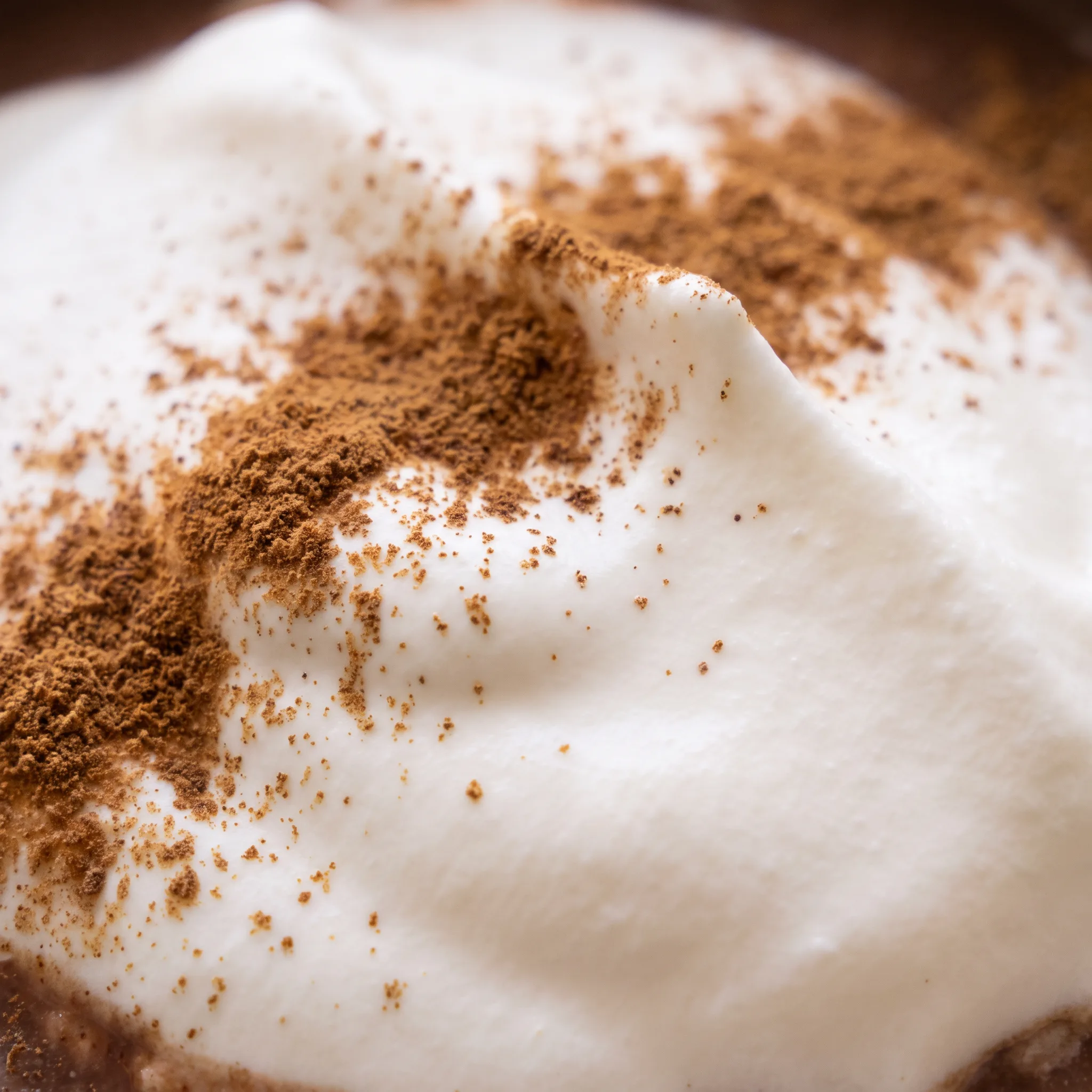 Whipped cream melting into thick hot chocolate, with chocolate chips and cinnamon on the surface.