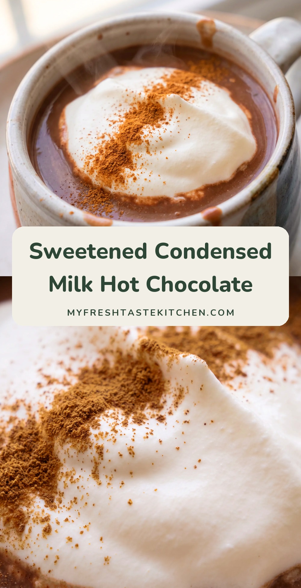 Thick hot chocolate in a mug topped with glossy whipped cream and a dusting of ground cinnamon.